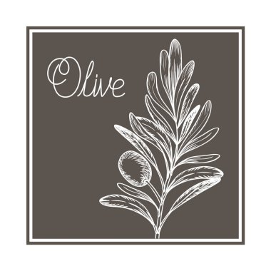 Zeytin çiçek Çizim izole simgesi