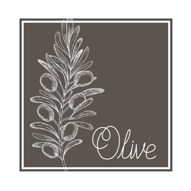 Zeytin çiçek Çizim izole simgesi