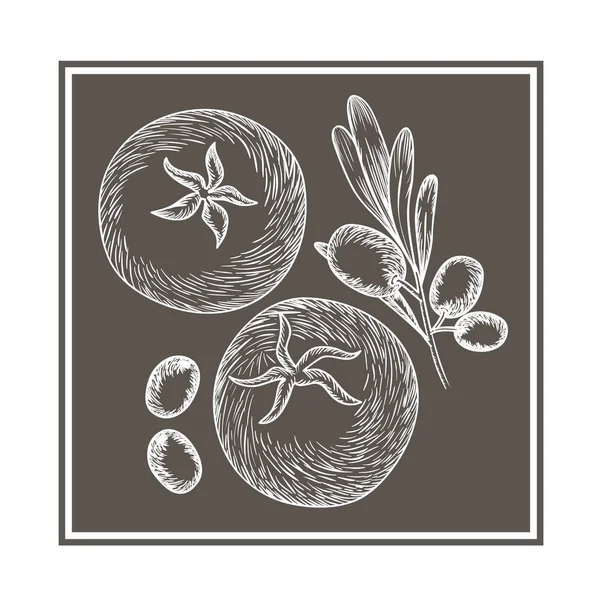 Délicieuses tomates et olive — Image vectorielle