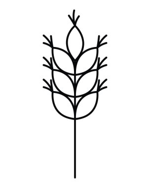 buğday izole simgesi bırakır