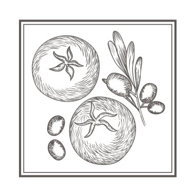 lezzetli domates ve zeytin