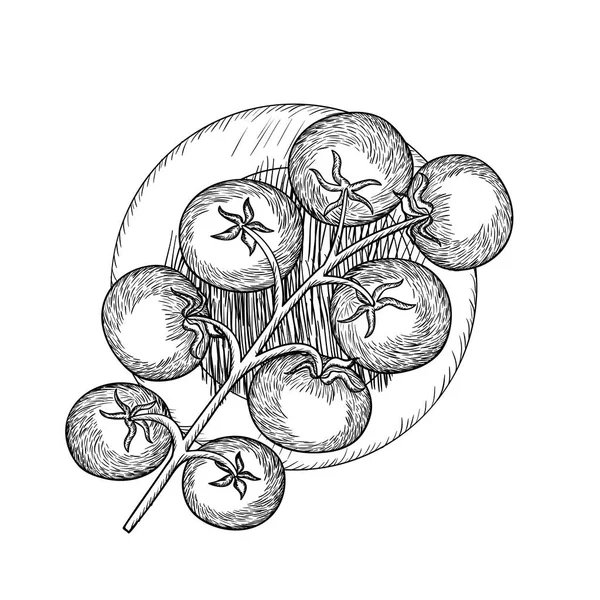 Delizioso pomodoro nel disegno icona isolata — Vettoriale Stock
