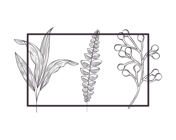 Μοτίβο λουλούδια και φύλλα απομονωμένες εικονίδιο — Διανυσματικό Αρχείο