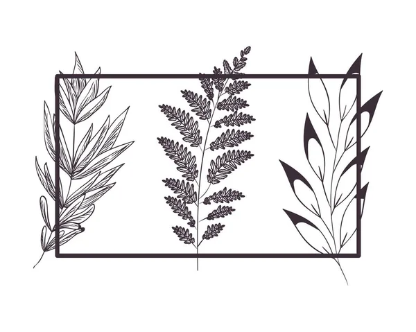 Patroon bloemen en blaadjes van geïsoleerde pictogram — Stockvector