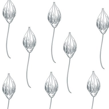 desen bitkiler ve otlar izole simgesi