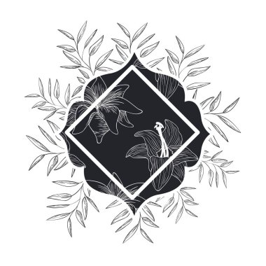 bitkiler ve otlar izole simgesi olan çerçeve