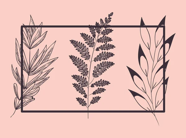 描かれた植物植物のセット — ストックベクタ