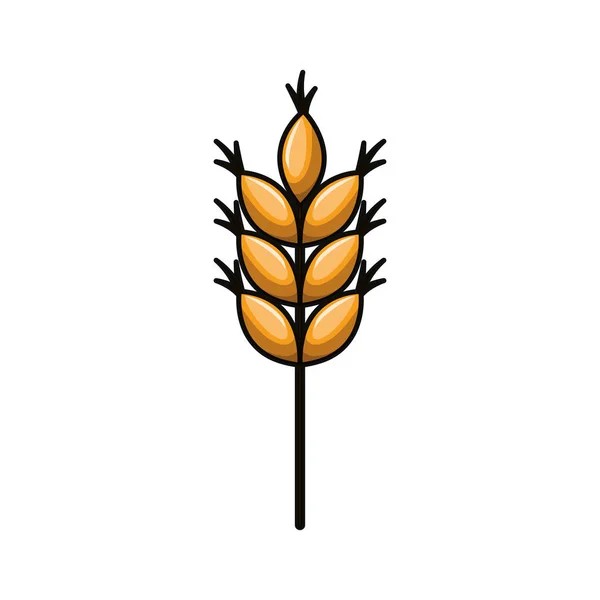 小麦の葉分離アイコン — ストックベクタ