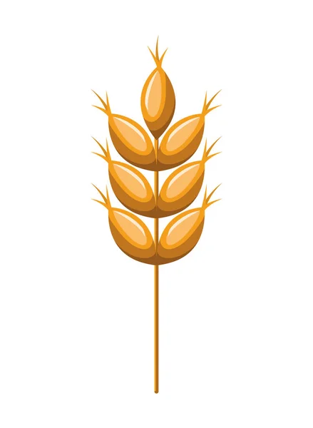 Hojas de trigo icono aislado — Vector de stock