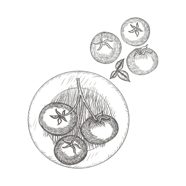 Вкусный помидор в рисунке — стоковый вектор