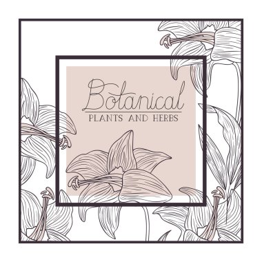 Botanik bitkiler ve otlar etiket