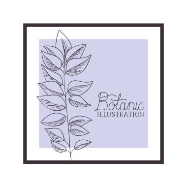 bitkiler botanik illüstrasyon etiketle