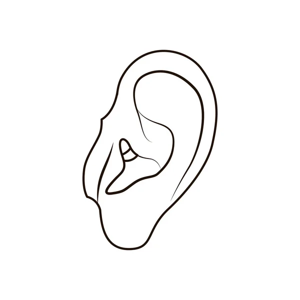 Mänskliga örat avatar karaktär — Stock vektor