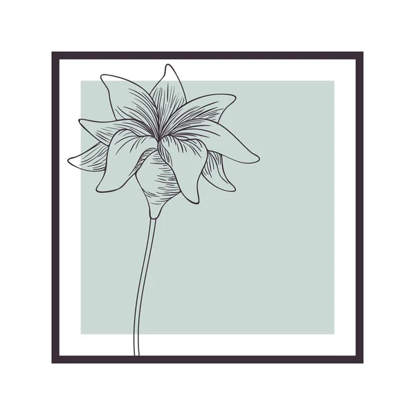 Bloemen en blaadjes met frame isolatedicon — Stockvector