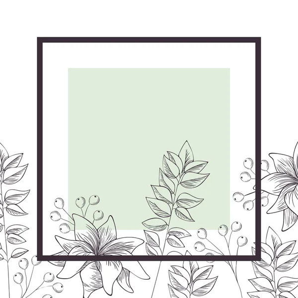 Flowers and leafs with frame isolated icon — Stock Vector