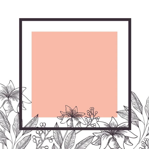 Bloemen en blaadjes met frame geïsoleerde pictogram — Stockvector