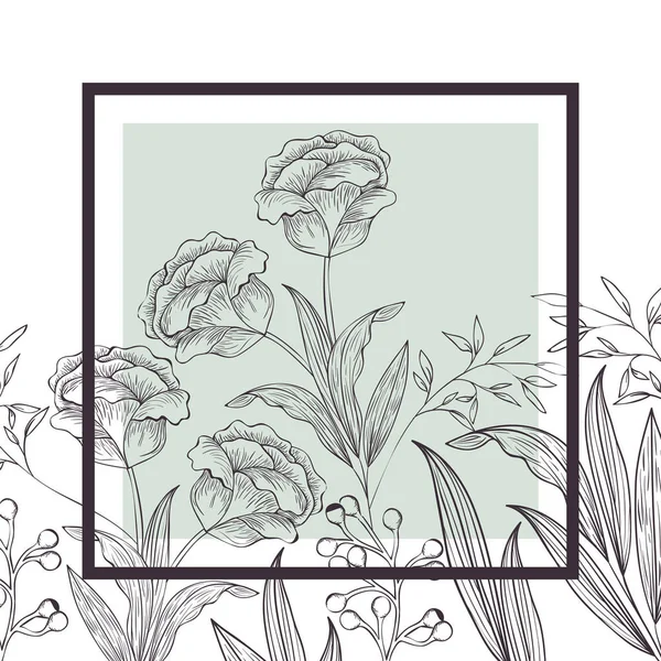 Bloemen en blaadjes met frame isolatedicon — Stockvector