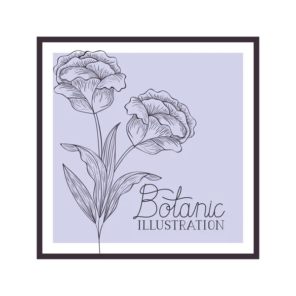 Botanic illustration label with plants — Stock Vector