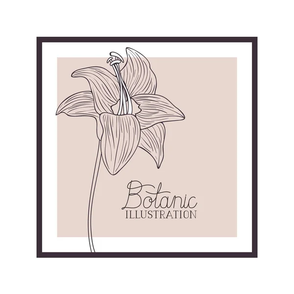 Botanic illustratie label met planten — Stockvector