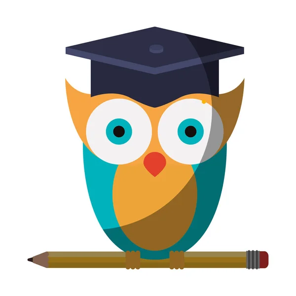 Image colorée réaliste de la connaissance de hibou avec graduation de casquette au crayon — Image vectorielle