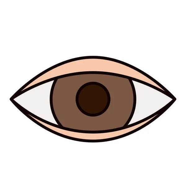 Barevný nákres silueta oka symbol prohlížeč — Stockový vektor