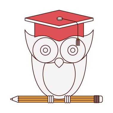 kalem üzerinde CAP mezuniyet ile baykuş bilgi siluet renk bölümleri