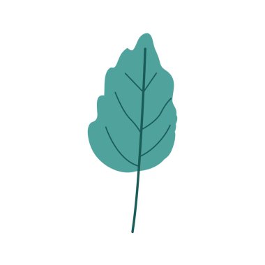 küçük dalgalı yaprak bitki yeşil ışık rengi