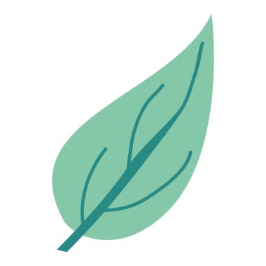 bitki büyük aovada yaprak yeşil açık renk