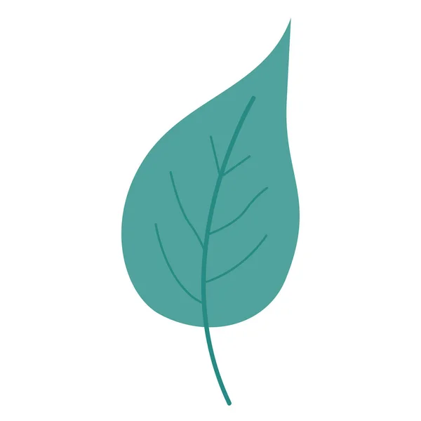 Couleur de lumière verte de la grande plante de feuille d'aovada — Image vectorielle