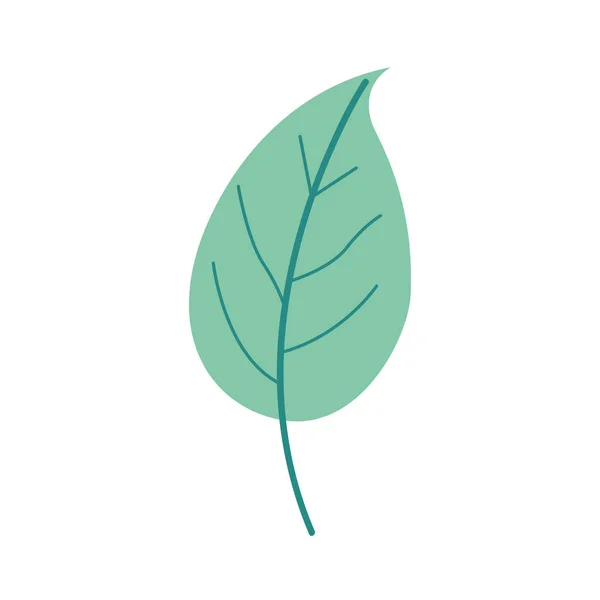 Zielony kolor światła roślin prostych liści — Wektor stockowy
