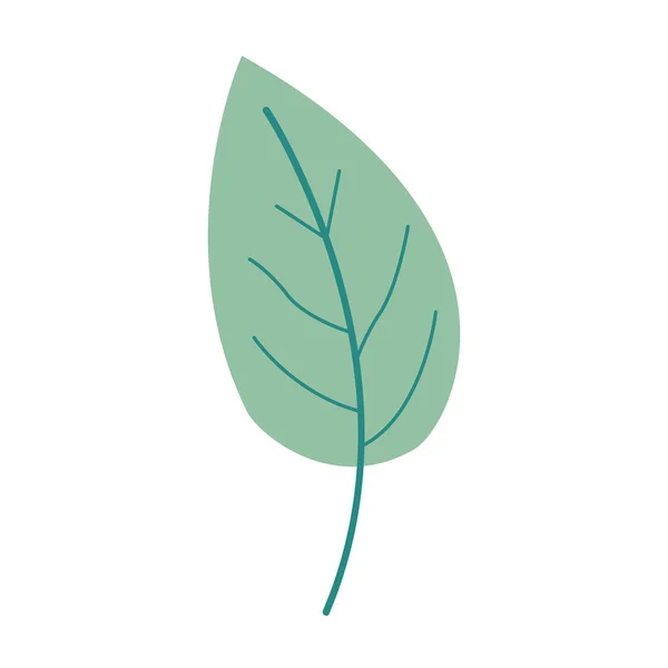 Grön färg av enkla löv växt — Stock vektor