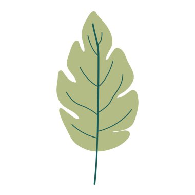 loblu yaprak bitki yeşil açık renk