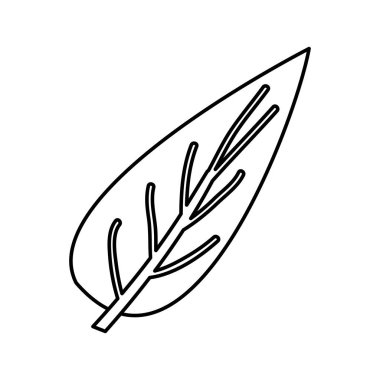 büyük aovada yaprak bitki kroki kontur