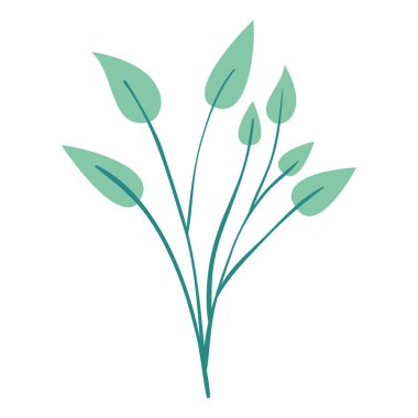 yaprakları bitki ile dalları yeşil ışık rengi