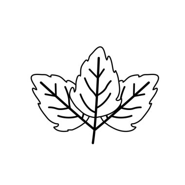 dalgalı üç yaprakları bitki kroki kontur