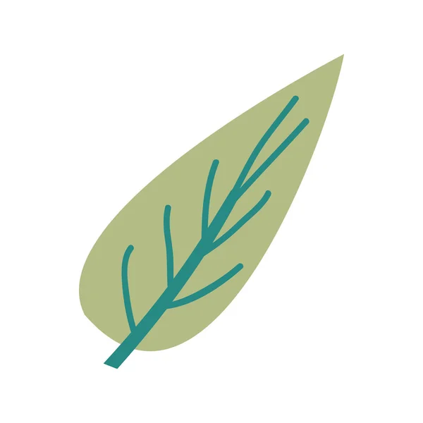 Büyük aovada yaprak bitki el çizim rengi — Stok Vektör