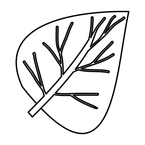 Schets contour van close-up Wide Leaf plant — Stockvector