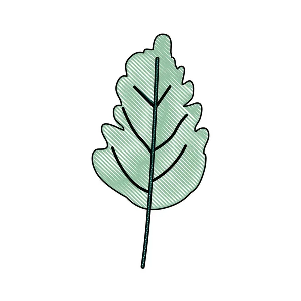 Dalgalı bitki yeşil ışık renk siluet yaprak — Stok Vektör