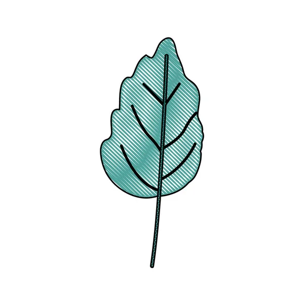 Silhouette crayon de couleur verte clair de petite plante à feuilles ondulées — Image vectorielle