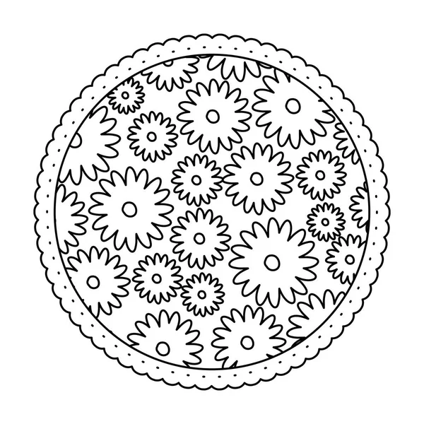 Vit bakgrund med monokrom cirkulär ram med mönster av daisy blommor — Stock vektor