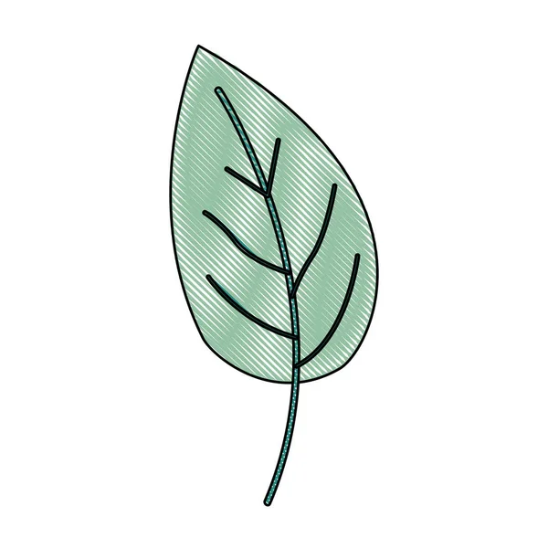 简单叶子植物的绿色蜡笔剪影 — 图库矢量图片
