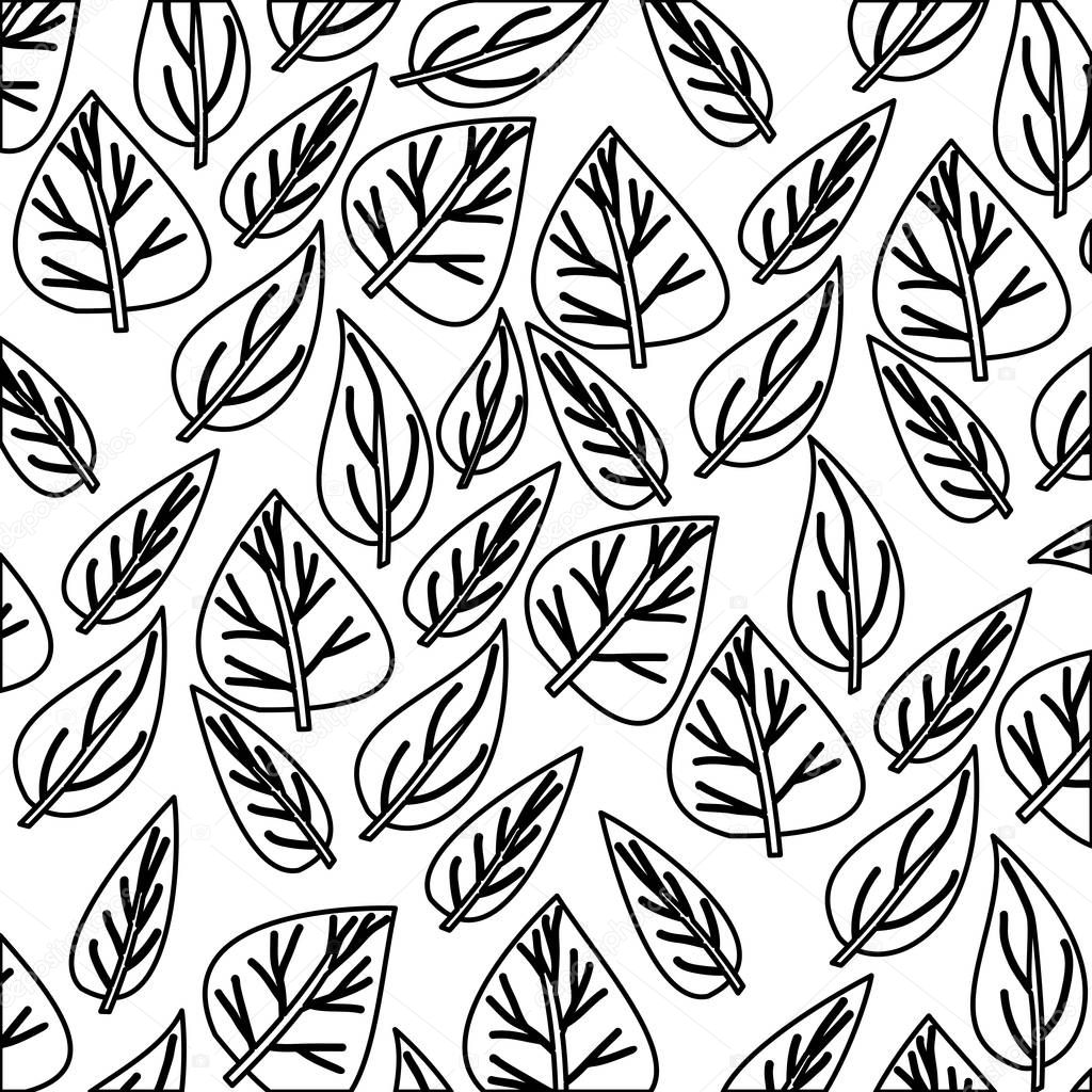 monochrome pattern of ovoid leaves