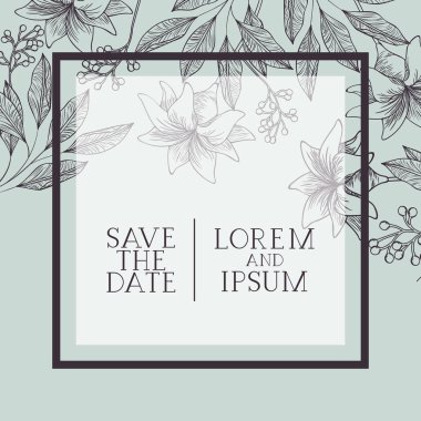 Botanik bitkiler ve otlar kare çerçeve