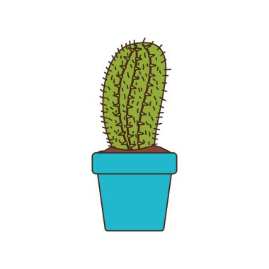 pot izole simgesi olan şirin kaktüs