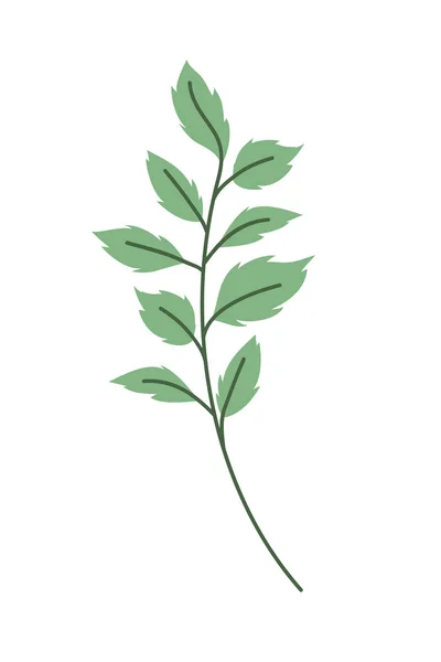 Ветвь с листовой изолированной иконой — стоковый вектор
