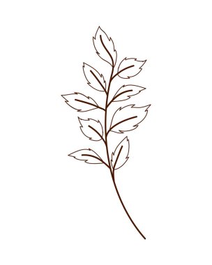 dal yaprak izole simgesiyle