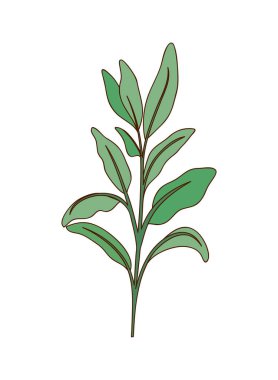 dal yaprak izole simgesiyle