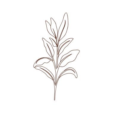 dal yaprak izole simgesiyle