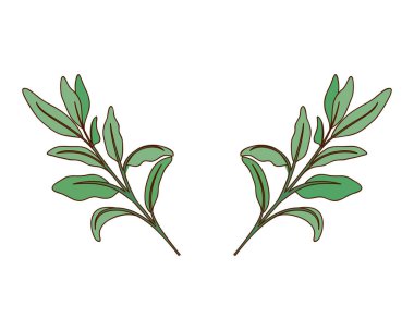 dal yaprak izole simgesiyle