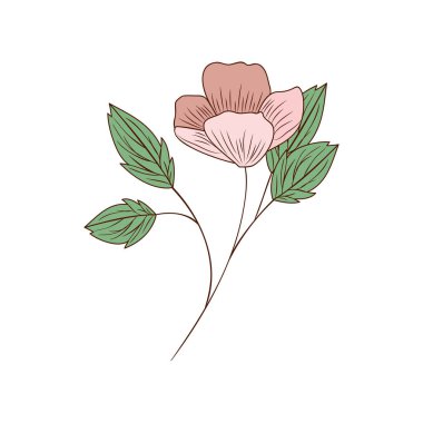 güzel çiçeklerle yapraklar izole simgesi